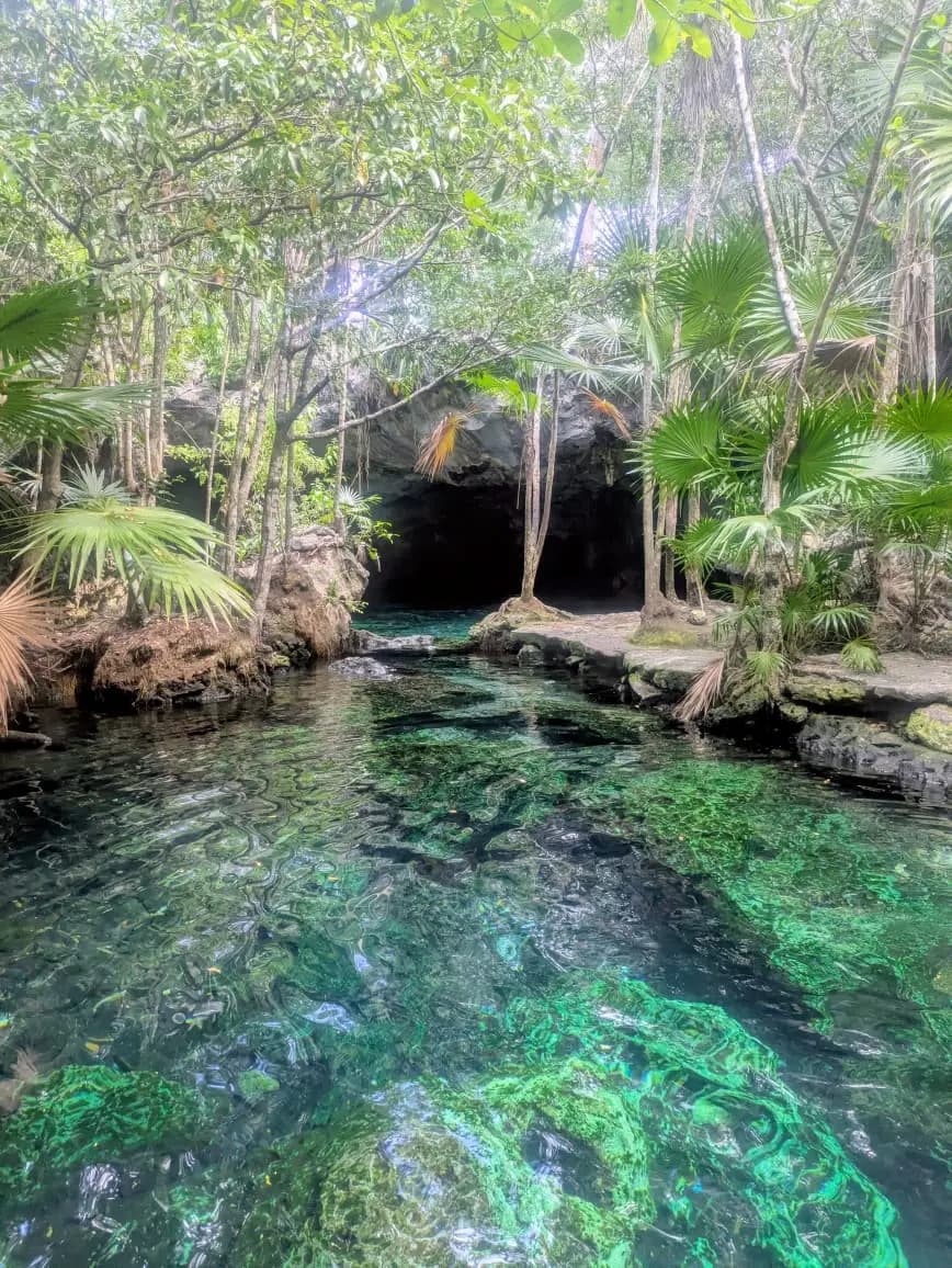 Selva tropical de Tulum — naturaleza y cenotes